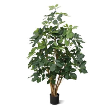 Schefflera Exotica kunstplant  - FR - brandvertragend