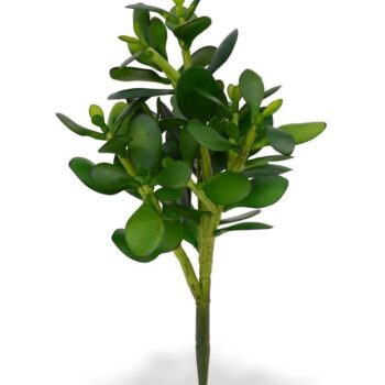 Crassula kunstplant