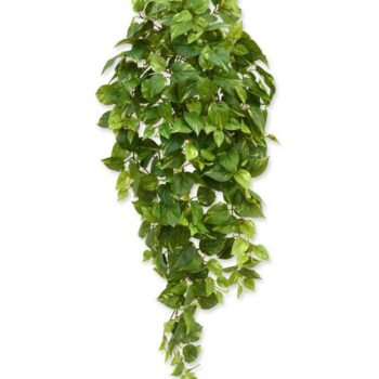 Scindapsus kunst hangplant  - bont