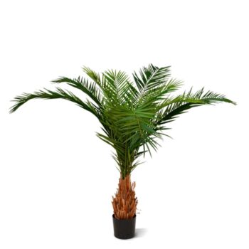 Canarie Phoenix kunstpalm deluxe