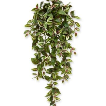Tradescantia kunst hangplant  - bont