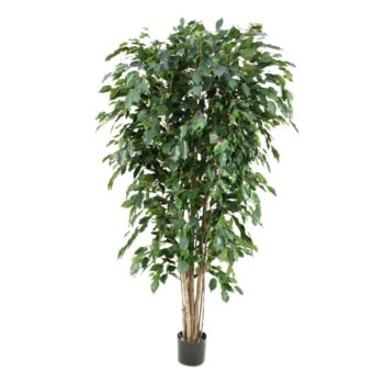 Ficus Exotica deluxe kunstplant  - groen - FR - brandvertragend