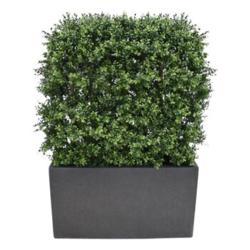 Buxus deluxe kunstheg 80x - UV bestendig