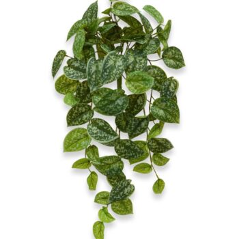 Scindapsus Pictus kunst hangplant