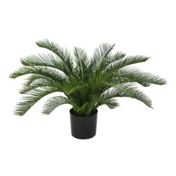 Cycas deluxe kunstpalm  - UV bestendig