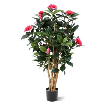 Camelia Japonica deluxe kunstplant  - rose