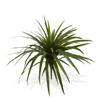 Draceana Marginata kunstplant