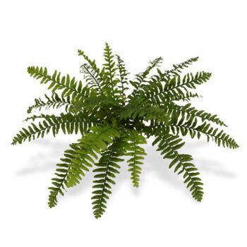 Boston Varen deluxe kunstplant x21