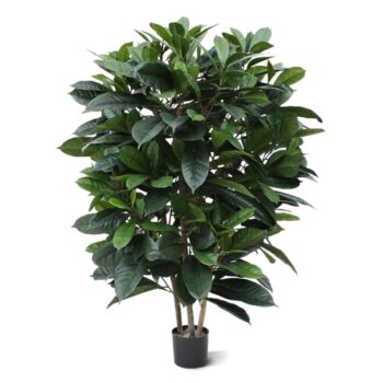 Ficus Cyathistipula deluxe kunstplant
