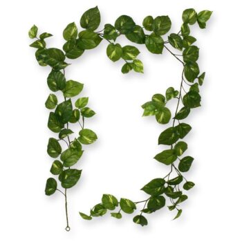 Scindapsus kunst Guirlande RT