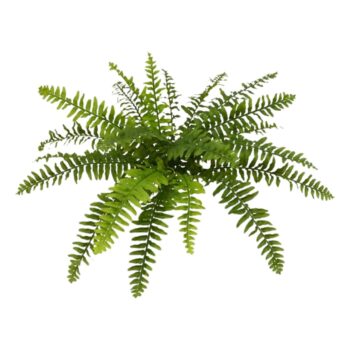 Boston Varen deluxe kunstplant x21  - FR - brandvertragend