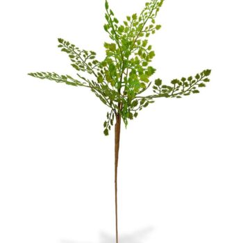 Adiantum kunsttak PL