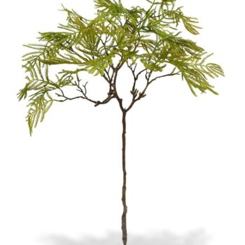 Bonsai Varen kunsttak