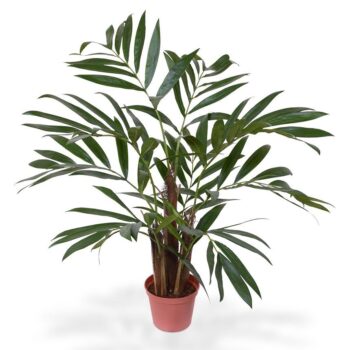 Chamaedorea kunstpalm