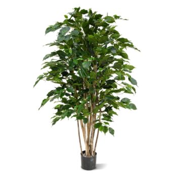 Ficus Exotica deluxe kunstplant  - groen