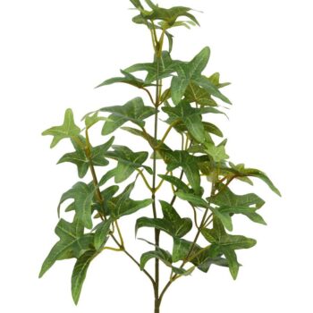 Ster Hedera kunsttak