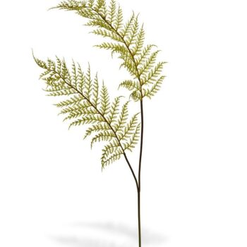 Varen kunsttak PL x2