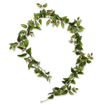 Tradescantia kunst Guirlande  - bont