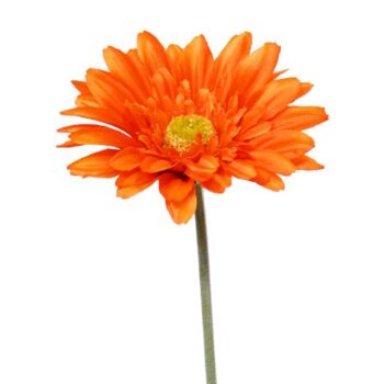 Gerbera kunst steelbloem  oranje