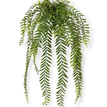 Columnea kunst hangplant