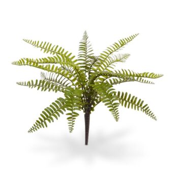 Asplenium Varen kunstplant