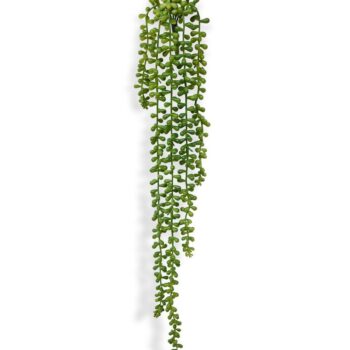 Senecio Pearl kunst hangplant