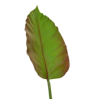 Caladium kunstblad deluxe