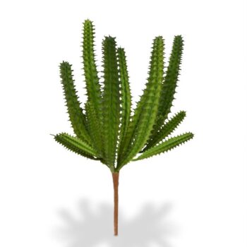 Euphorbia mini kunst Cactus