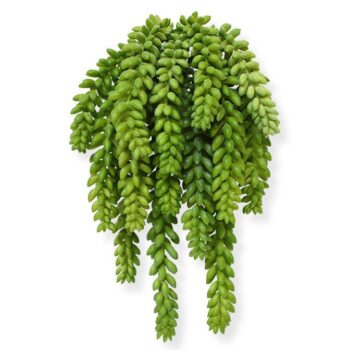 Sedum Donkey tail kunstplant