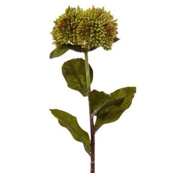 Sedum kunsttak  groen