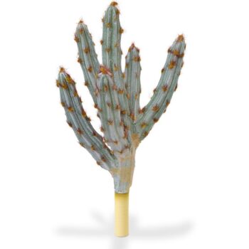 Tetragonus kunst Cactus  - bruin