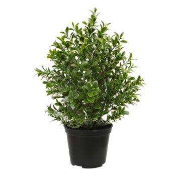 Buxus kunstplant  in pot - UV bestendig