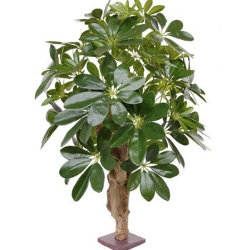 Schefflera kunstplant op voet