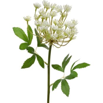 Dille kunsttak  crème