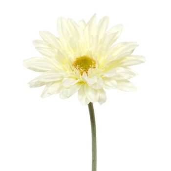 Gerbera kunst steelbloem  creme