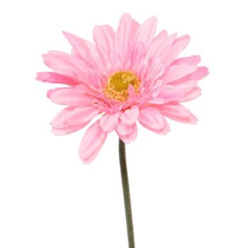 Gerbera kunst steelbloem  roze