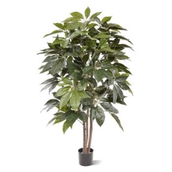 Scheflera Amate kunstboom