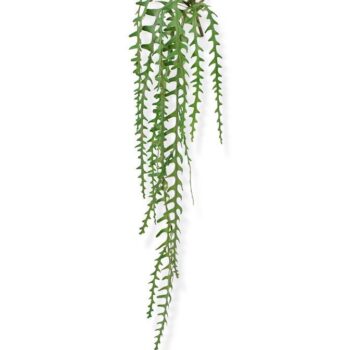 Epiphyllum kunst hangplant