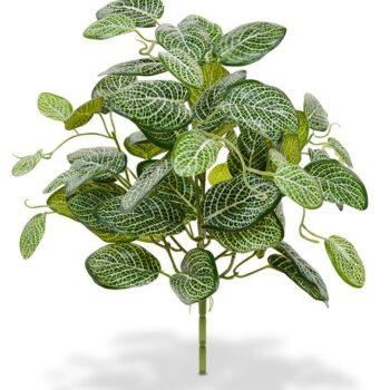 Fittonia kunstplant  - bont