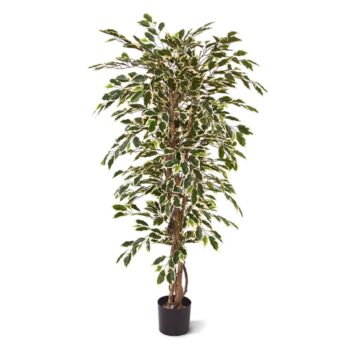 Ficus Hawai kunstboom