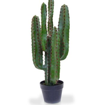 Euphorbia kunst Cactus