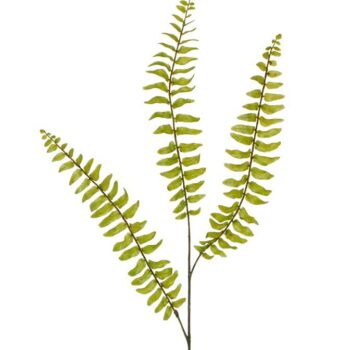 Boston Varen kunsttak