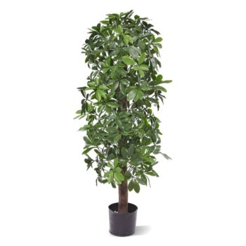 Schefflera kolom kunstboom  - UV bestendig