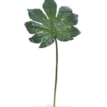 Fatsia kunstblad XL