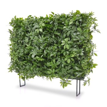 Schefflera kunstheg 80x25x - UV bestendig