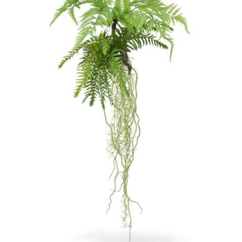 Tillandsia Varen kunst hangplant