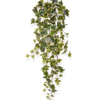 Hedera kunst hangplant  - bont
