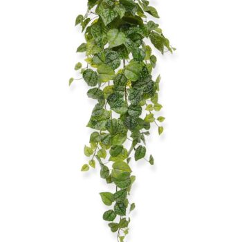 Scindapsus Pictus kunst hangplant