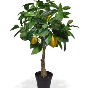 Citroen kunstplant
