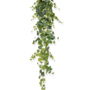 Scindapsus Pictus kunst hangplant